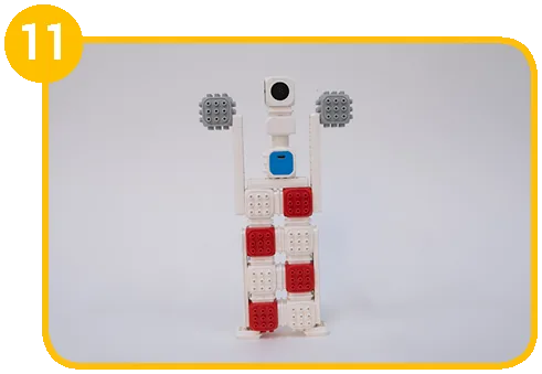 Krok 11